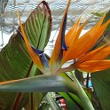 Picasa 2.7